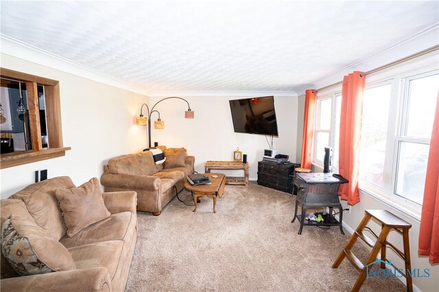 317 E Rosewood Ave, Defiance, OH 43512 - carpeted living room with ornamental molding