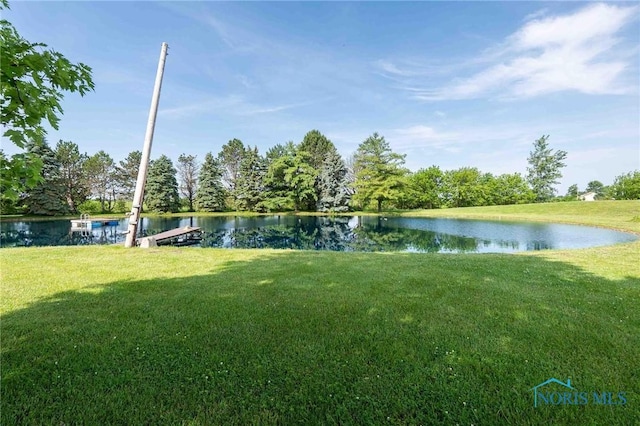 10549 Cygnet Rd, Cygnet, OH 43413 - surrounding community featuring a water view and a lawn