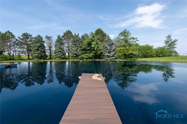 10549 Cygnet Rd, Cygnet, OH 43413 - dock area featuring a water view