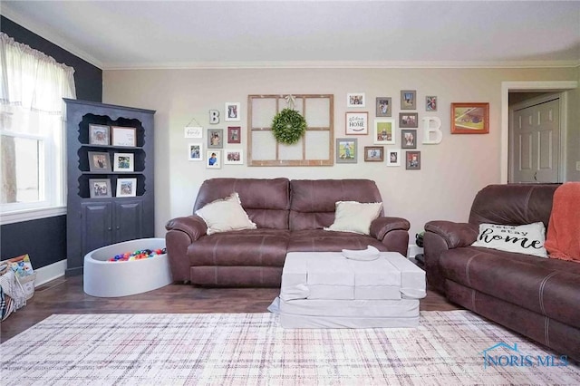 10549 Cygnet Rd, Cygnet, OH 43413 - living room featuring ornamental molding and wood finished floors