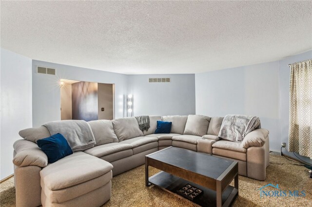 807 S Jefferson St, Pandora, OH 45877 - living room featuring carpet floors and a textured ceiling
