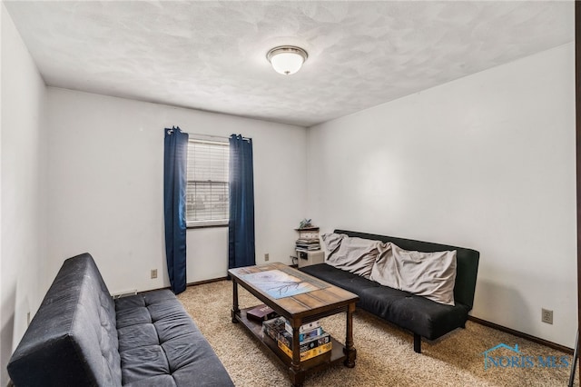 807 S Jefferson St, Pandora, OH 45877 - living area with carpet floors and a textured ceiling