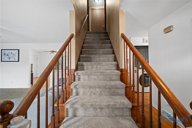 3005 Springwood St, Oregon, OH 43616 - stairway featuring wood finished floors and a ceiling fan