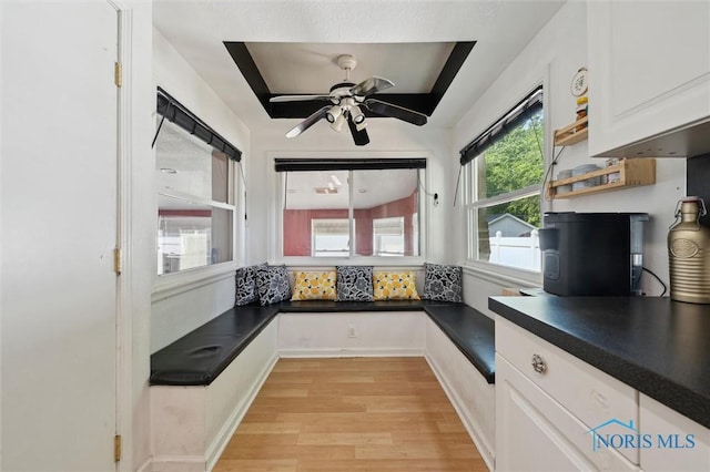 2624 Oak Grove Pl, Toledo, OH 43613 - kitchen with light wood-style flooring, dark countertops, white cabinetry, and a ceiling fan