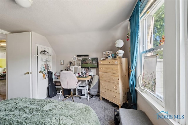 2624 Oak Grove Pl, Toledo, OH 43613 - bedroom with carpet, multiple windows, and vaulted ceiling