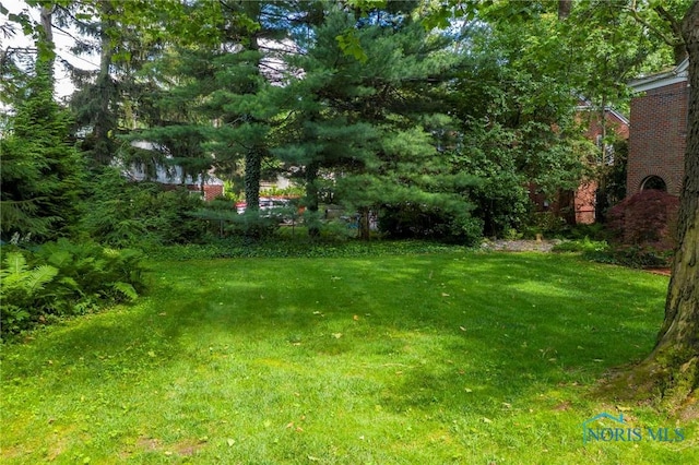 4146 Northmoor Rd, Ottawa Hills, OH 43606 - view of grassy yard