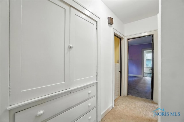 1452 Rollins Rd, Toledo, OH 43612 - corridor featuring light colored carpet