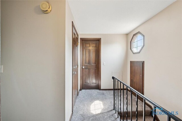 6515 Marie Ln, Maumee, OH 43537 - photo 30