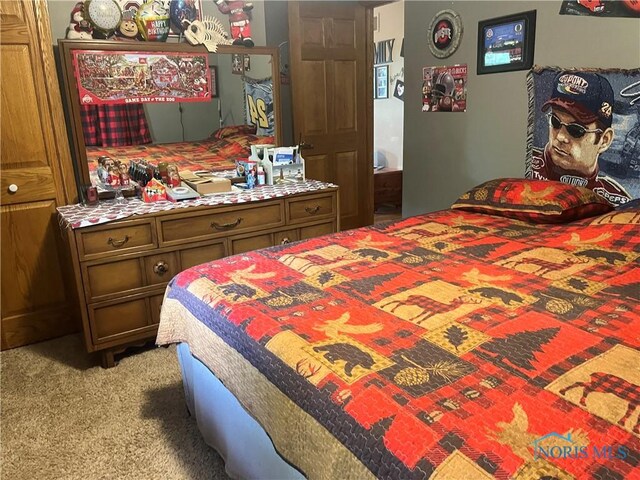 131 Choctaw Trl, Montpelier, OH 43543 - photo 25