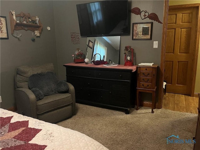 131 Choctaw Trl, Montpelier, OH 43543 - photo 17