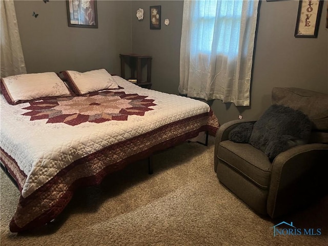 131 Choctaw Trl, Montpelier, OH 43543 - photo 19
