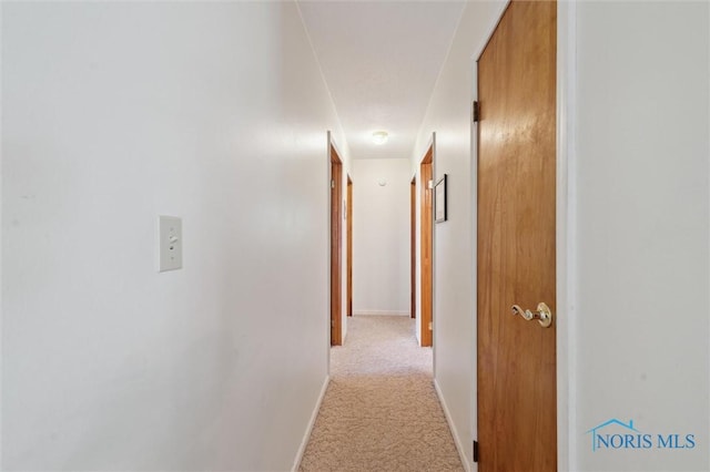 17918 Dunbridge Rd, Bowling Green, OH 43402 - hall with light colored carpet and baseboards