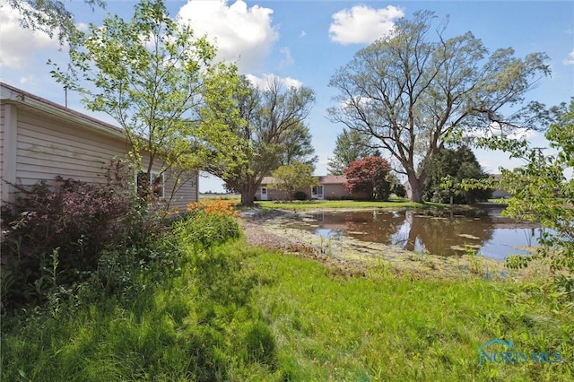 17918 Dunbridge Rd, Bowling Green, OH 43402 - view of yard