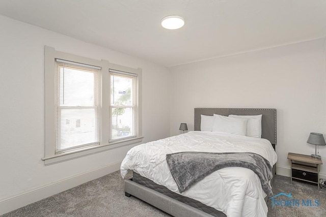 3947 Burnham Ave, Toledo, OH 43612 - bedroom with carpet