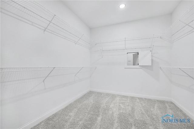 9414 Sheffield Rd, Perrysburg, OH 43551 - spacious closet featuring carpet floors