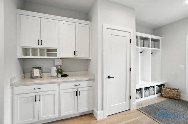 4214 Thornbury Ct, Perrysburg, OH 43551 - mudroom featuring light wood finished floors and baseboards