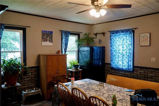 403 Kaufman St, Holgate, OH 43527 - photo 7