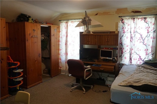 403 Kaufman St, Holgate, OH 43527 - photo 29