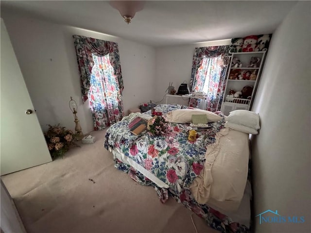 0 Old State Line Rd, Swanton, OH 43558 - bedroom featuring carpet flooring