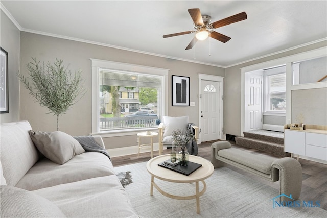436 Danberry St, Toledo, OH 43609 - living area featuring wood finished floors, ornamental molding, ceiling fan, and stairs