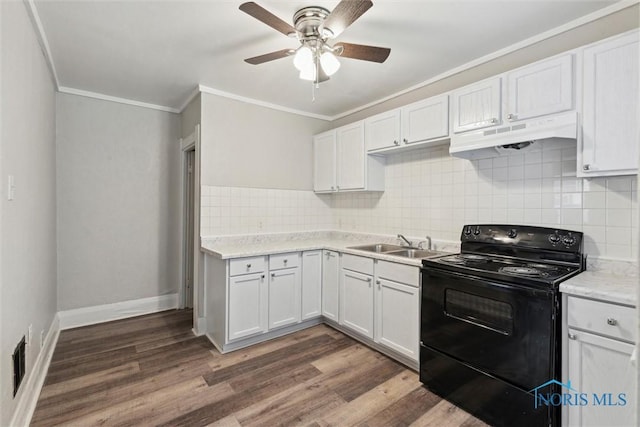 436 Danberry St, Toledo, OH 43609 - kitchen with black range with electric cooktop, under cabinet range hood, ornamental molding, ceiling fan, and light countertops