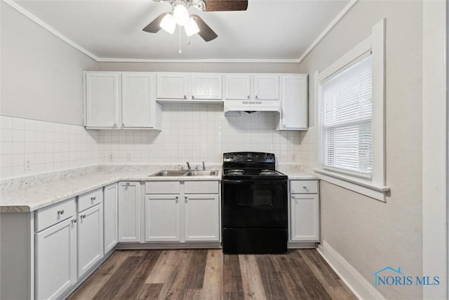 436 Danberry St, Toledo, OH 43609 - kitchen with black electric range, under cabinet range hood, dark wood-style flooring, crown molding, and decorative backsplash