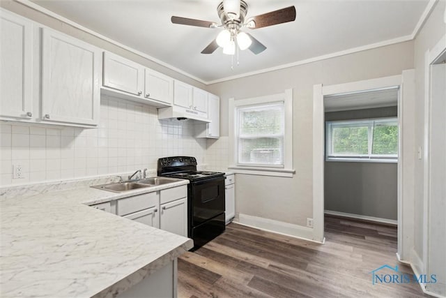 436 Danberry St, Toledo, OH 43609 - kitchen with black electric range, under cabinet range hood, crown molding, light countertops, and dark wood finished floors