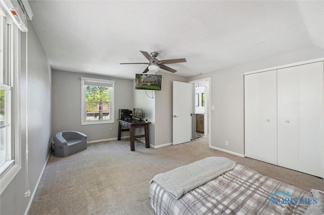 3808 Philmar Dr, Toledo, OH 43623 - photo 24
