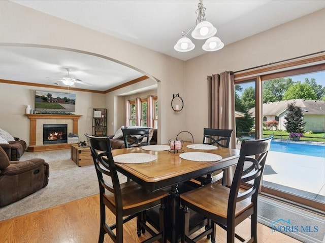 646 Whisperlake Rd, Holland, OH 43528 - dining room featuring arched walkways, healthy amount of natural light, light wood-style floors, and a ceiling fan