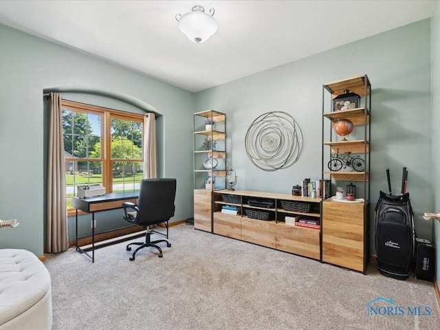 646 Whisperlake Rd, Holland, OH 43528 - office space featuring carpet floors