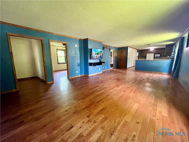 107 N Maple St, Payne, OH 45880 - unfurnished living room featuring wood-type flooring, a textured ceiling, and ornamental molding