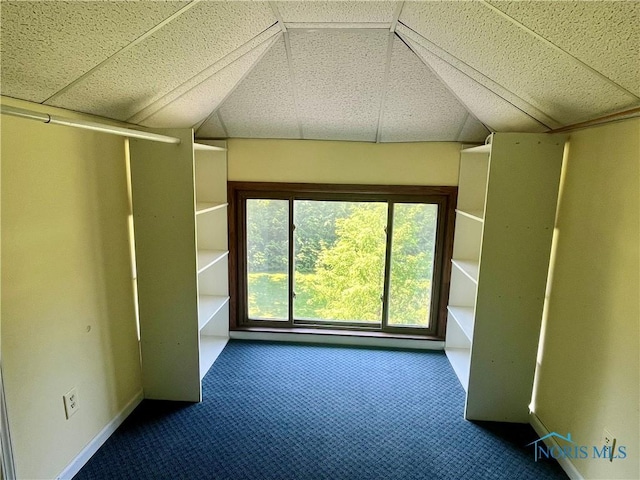 107 N Maple St, Payne, OH 45880 - unfurnished sunroom featuring vaulted ceiling