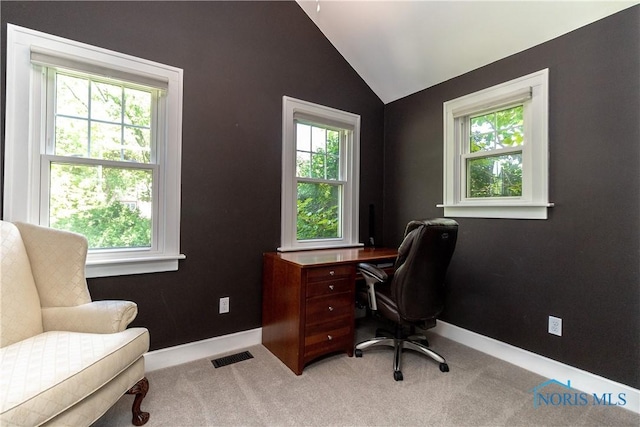 2448 Orchard Rd, Ottawa Hills, OH 43606 - carpeted office featuring lofted ceiling and baseboards