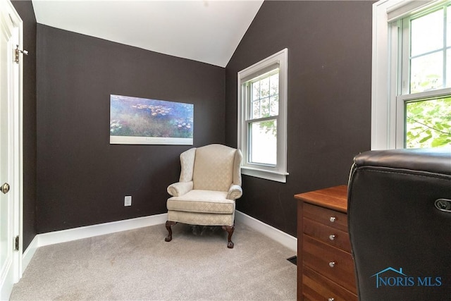 2448 Orchard Rd, Ottawa Hills, OH 43606 - carpeted office space with vaulted ceiling and baseboards