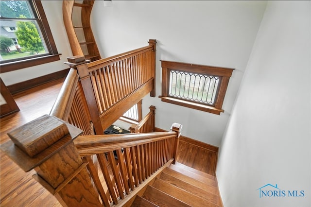 307 1st St, Findlay, OH 45840 - photo 18