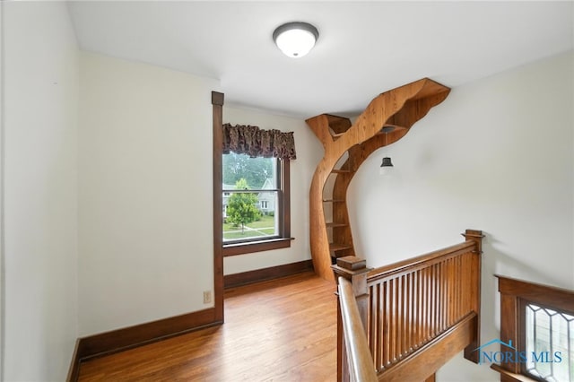 307 1st St, Findlay, OH 45840 - photo 19