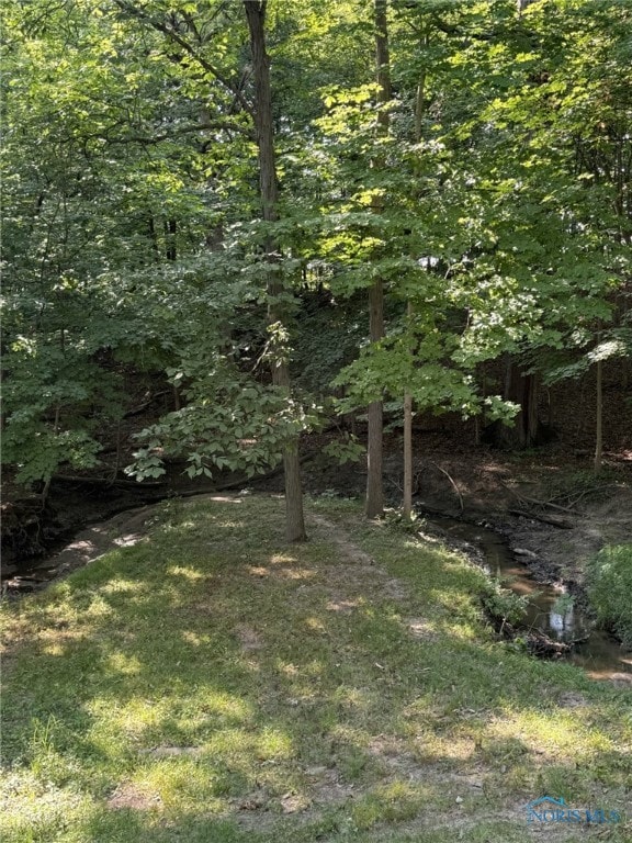 316 Northwood Dr, Defiance, OH 43512 - photo 47