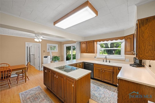 699 N Toussaint S Rd, Oak Harbor, OH 43449 - kitchen featuring electric cooktop, stainless steel dishwasher, light countertops, and plenty of natural light