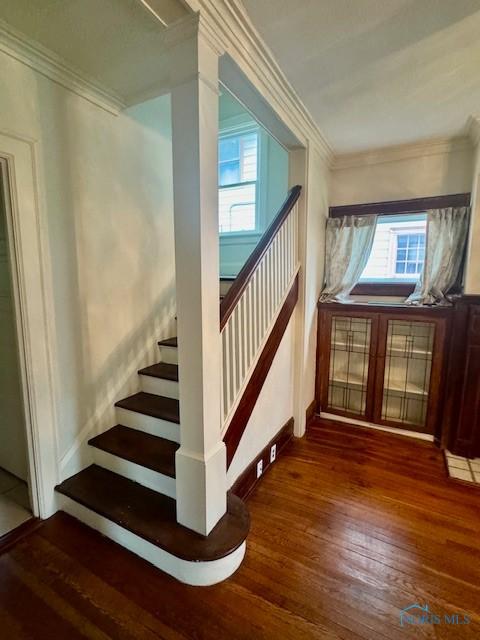2840 Scottwood Ave, Toledo, OH 43610 - stairs with hardwood / wood-style floors, plenty of natural light, and ornamental molding