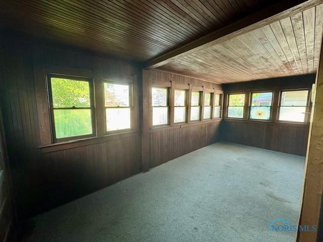 2840 Scottwood Ave, Toledo, OH 43610 - unfurnished sunroom with plenty of natural light