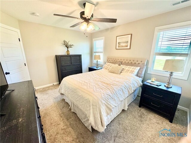 1825 Langlan Dr, Defiance, OH 43512 - photo 24