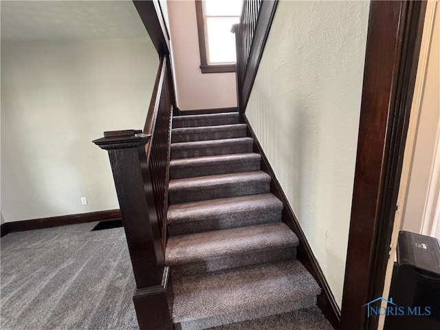 331 Buckeye St, Toledo, OH 43611 - stairs featuring carpet floors and a textured wall