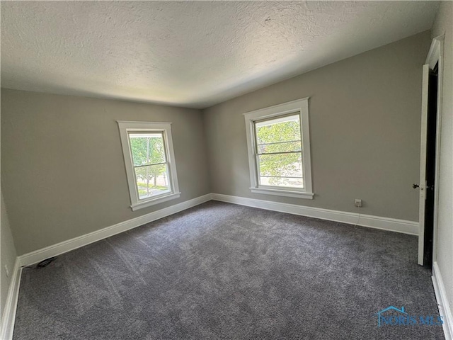 331 Buckeye St, Toledo, OH 43611 - spare room with healthy amount of natural light, a textured ceiling, and dark colored carpet