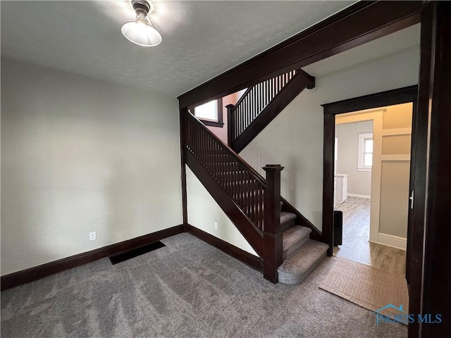 331 Buckeye St, Toledo, OH 43611 - staircase with baseboards and carpet flooring