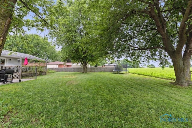 4698 County Road 19, Wauseon, OH 43567 - photo 50