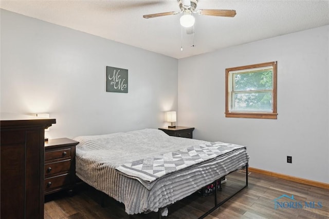 4698 County Road 19, Wauseon, OH 43567 - photo 23