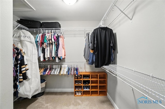 845 Oak Knoll Dr, Perrysburg, OH 43551 - walk in closet featuring carpet