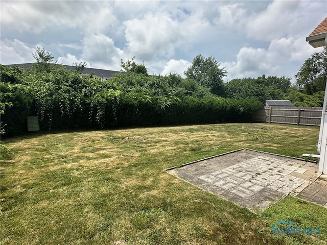 4125 Meadow Green Dr, Sylvania, OH 43560 - view of yard featuring a patio