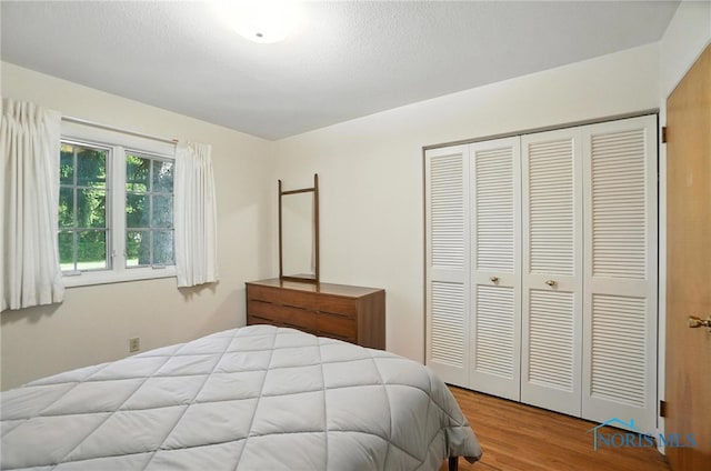 6036 Holman Rd, Toledo, OH 43615 - photo 28