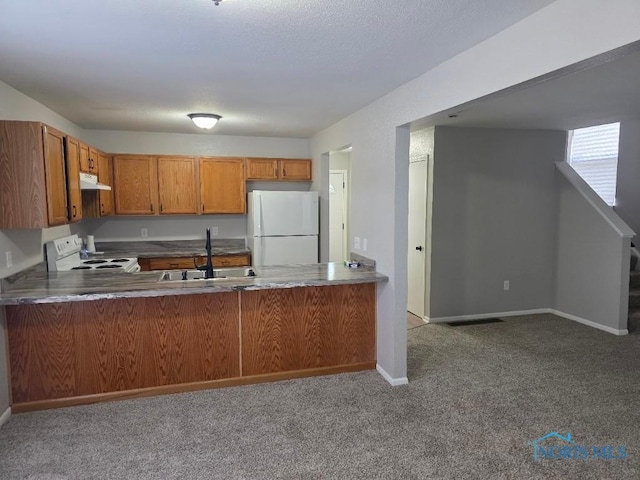 1311 Fitchland Ave, Toledo, OH 43606 - kitchen featuring white appliances, under cabinet range hood, a peninsula, carpet flooring, and brown cabinetry